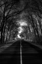 Black Road