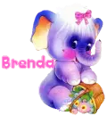 Brenda