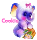 Cookie