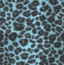panter-blue