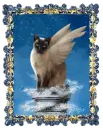 heavenly Cat
