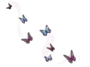 Glittery Butterflies