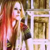 put on ur profile if u lyk avril