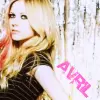 put on ur profile if u lyk avril