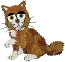 Maine Coon