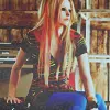 put on ur profile if u lyk avril