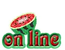on line