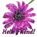 hello friend