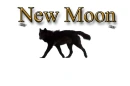 New Moon 