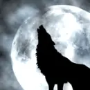 Full moon