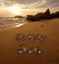 Keep Our Oceans Clean