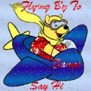 winnie the pooh flying a airplane