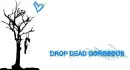drop dead qorqeous.