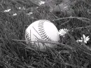 Baseball (black and white)