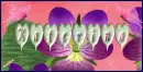 names