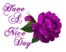 Have A Nice Day