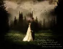 Bella & Edward