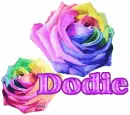 Dodie