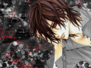 vampire knight 