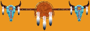 Native american 