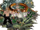 RING, 