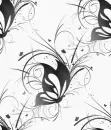 wild butterfly