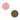 tiny dotty