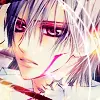 Vampire Knight