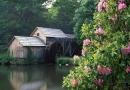 COUNTRY
