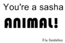 You are a sasha animal