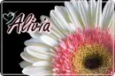 alivia