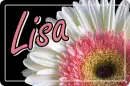 lisa
