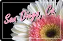 san diego
