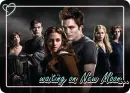 waiting on new moon