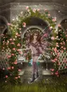 Fairy