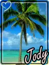 jody palm