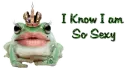 i know i am sexy