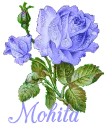 Mohita