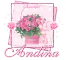 Andina