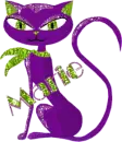 sassy cat