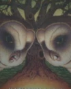 Staring contest