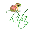Rita