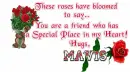 Roses for you friend-Mavis