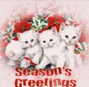 CHRISTMAS