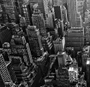 new york madness