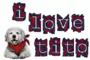 I love Tito