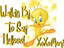 piolin,hello