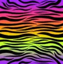 rainbow zebra