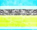 zebra striped