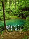 greenrefle